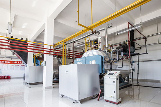 2噸WNS冷凝式燃?xì)忮仩t