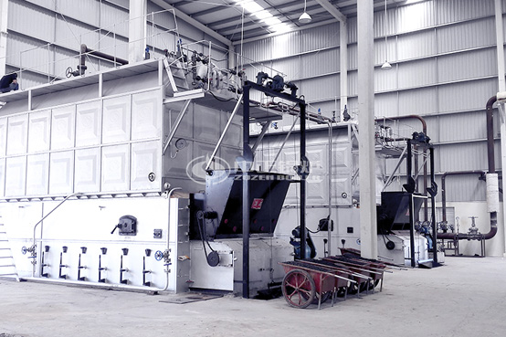 10噸SZL系列生物質(zhì)鍋爐項目